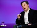 Tỷ phú Musk không quan tâm đến việc mua lại TikTok