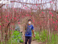 Hà Nội nghiêm cấm biếu, tặng quà Tết lãnh đạo