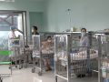 Liên tục ghi nhận trường hợp mắc mới Adeno, ca nguy kịch gia tăng