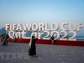 Nhiều nước hỗ trợ Qatar đảm bảo an ninh cho World Cup 2022