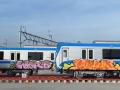 Tàu metro số 1 chưa chạy đã bị vẽ bậy, chủ đầu tư nói gì?