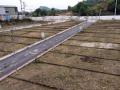Loạn "thổi giá" thông qua đấu giá đất, đề xuất siết đối tượng tham gia