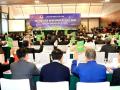 Xác minh tư cách 2 ứng viên tham gia ứng cử phó chủ tịch VFF khóa 9