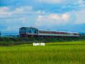 13 toa tàu hạng sang của Tập đoàn Jinxin Trung Quốc 5 năm chưa thể khai thác
