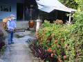 Bình Dương ghi nhận 8 trường hợp tử vong do sốt xuất huyết