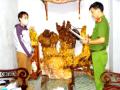 Vụ cho vay 1,6 tỷ, lấy lãi gần 3 tỷ đồng: Bắt giữ Tạ Thị Kiều Nga