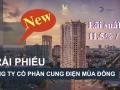 Nhóm Tân Hoàng Minh huy động vốn lãi suất cao để làm gì?