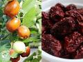 5 loại thực phẩm là “tri kỷ” của phụ nữ