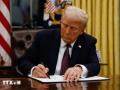 Tổng thống Mỹ Donald Trump ký sắc lệnh giải thể Bộ Giáo dục Liên bang