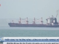 Eo biển Hormuz mở cửa, "vàng đen" hạ nhiệt?