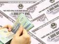 Tân Hoàng Minh thông tin phương án trả tiền cho các nhà đầu tư