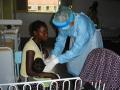 WHO họp khẩn vì ổ dịch sốt xuất huyết do virus Marburg