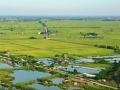 Sửa quy định đấu giá quyền sử dụng đất