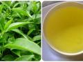7 nhóm người không nên uống nước chè xanh