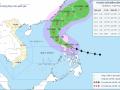 Bão Phượng Hoàng mạnh lên đầu cấp siêu bão