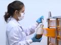 TP.HCM thả muỗi Wolbachia ra cộng đồng diệt mầm bệnh sốt xuất huyết