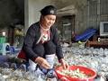 “Nữ y núi Tản” công bố thảo dược xương khớp hợp với thể trạng người Việt