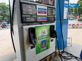 Giá xăng dầu ngày 15/8 mới nhất: Xăng E5 và xăng E10 cùng giảm