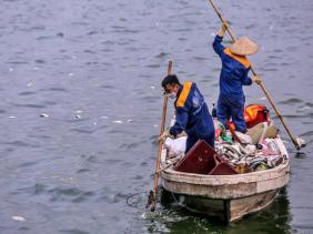 Hà Nội sẽ đánh bắt cá để giảm mật độ trong hồ Tây