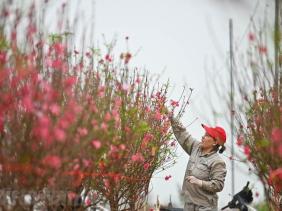 Trình Chính phủ phương án nghỉ Tết Nguyên đán 9 ngày, lễ Quốc khánh 5 ngày