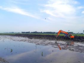 Cao tốc ở Đồng bằng sông Cửu Long thiếu cát trầm trọng