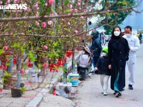 Chuyên gia nhận định tình hình mưa rét dịp Tết Nguyên đán Giáp Thìn 2024