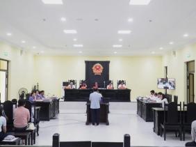 Lừa UBND tỉnh Cà Mau, ông Tô Công Lý bị đề nghị phạt tù 12 đến 13 năm