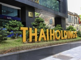 Thaiholdings nhận lại dự án 11A Cát Linh từ tay Tân Hoàng Minh
