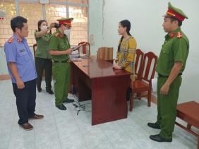 Truy tố 'Tina Dương' trước tòa với hai tội danh