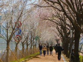 Hàn Quốc sẽ nới lỏng chính sách visa cho khách Việt