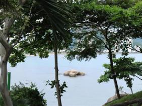 Tạm dừng du lịch lặn biển ở các khu vực dễ bị tổn hại ở vịnh Nha Trang