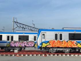 Tàu metro số 1 chưa chạy đã bị vẽ bậy, chủ đầu tư nói gì?