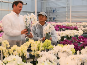 Tỷ phú Jack Ma sống ẩn dật ở Nhật Bản 6 tháng qua