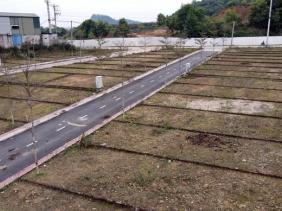 Loạn "thổi giá" thông qua đấu giá đất, đề xuất siết đối tượng tham gia