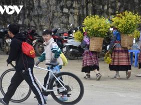 Bắc Bộ rét đậm trong dịp Tết