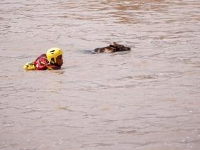 Nam Phi điều 10.000 quân đối phó lũ lụt kỷ lục
