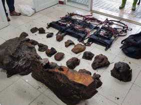 Đài Loan kết án nhóm người Việt trộm gỗ quý