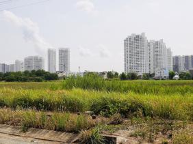 Cứ đà này, giá đất tại TP.HCM sẽ đắt ngang Hồng Kông