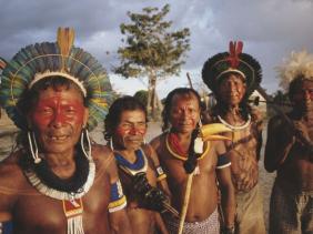 Thổ dân Amazon mất mạng vì mật khẩu wifi