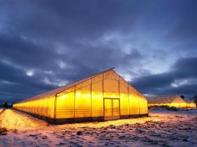 Phần Lan bắt chủ doanh nghiệp nghi buôn người