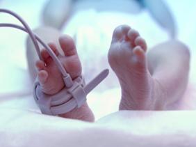 Phát hiện mới giúp điều trị tổn thương não ở trẻ sơ sinh