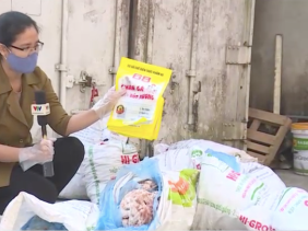 Chân gà bẩn bốc mùi “đội lốt” hàng chất lượng tuồn ra thị trường