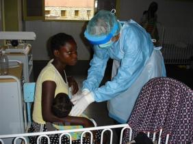 WHO họp khẩn vì ổ dịch sốt xuất huyết do virus Marburg