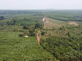 Đồng Nai lo ngại xây đường xuyên khu sinh quyển thế giới