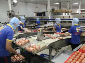 Từ ngày 2-4, TP.HCM tăng giá bán thịt, trứng gia cầm 7-14%