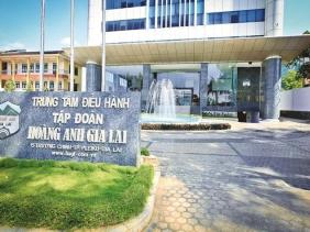 Lý do Công ty Cổ phần Hoàng Anh Gia Lai bị xử phạt