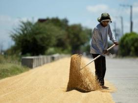Philippines cảnh báo nắng nóng tới 57 độ C, 7 tỉnh ban bố tình trạng thiên tai