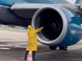 Chuyến bay chậm cả tiếng đồng hồ vì... đàn ong bám vào động cơ