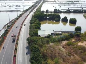 TP Hồ Chí Minh: Xử lý 2 công trình xây dựng trái phép tại phường Vũng Tàu và Phước Thắng