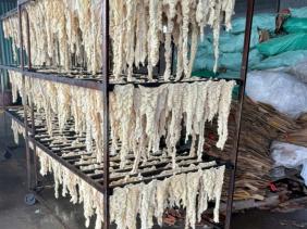 Phát hiện hơn 55 tấn lòng, dạ dày và chân gà không rõ nguồn gốc trong kho một doanh nghiệp ở Hải Phòng